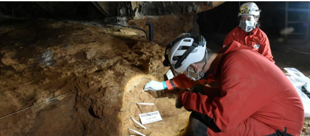 Proyecto de investigación prehistórica en las Cuevas de Rincón de la Victoria