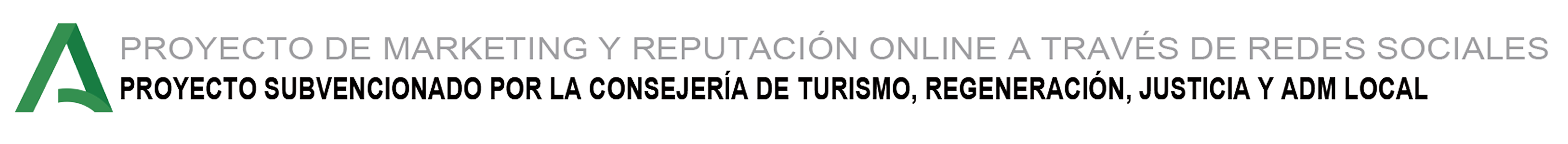 Proyecto de marketing y reputación online a través de redes sociales